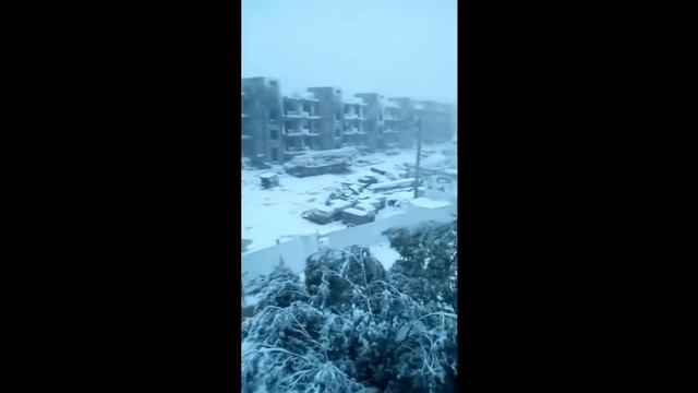 Снег на Дальний восток инфа с места события...обзор НикПетровича смотреть онлайн