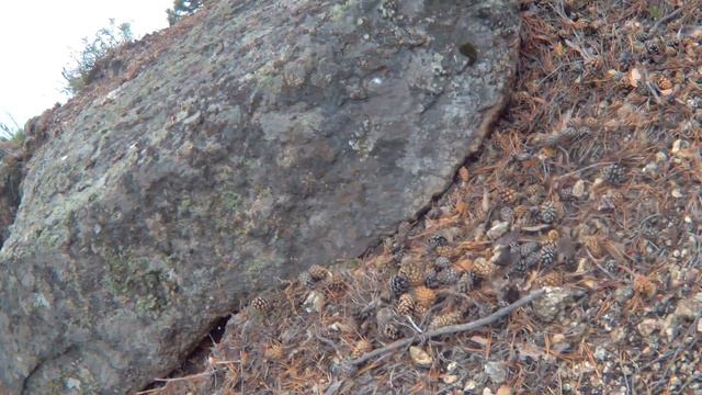 Бухта Харагино-Сенная, Пошел не той тропой (Козьей), Теперь знаю что такое Козьими тропами ходить) смотреть онлайн