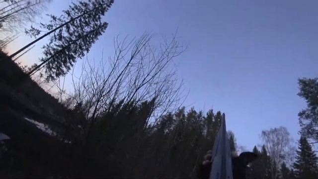 Охота на вальдшнепа и её трудности за одно мгновение. Тяга вальдшнепа. смотреть онлайн