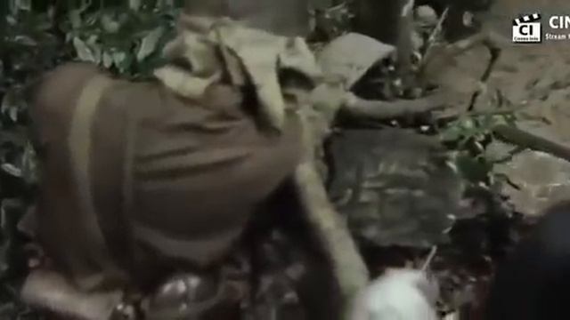 Battle of the pacific 2011 full move bahasa indonesia смотреть онлайн