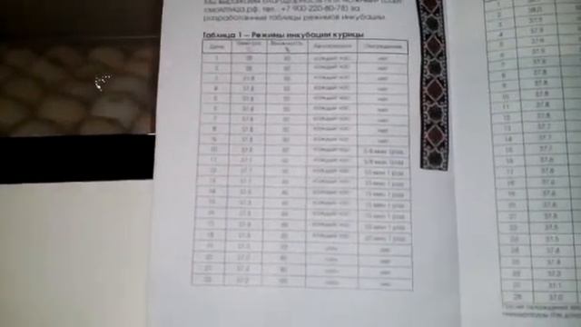 ОВО 78 Инкубатор для чайников!)) смотреть онлайн