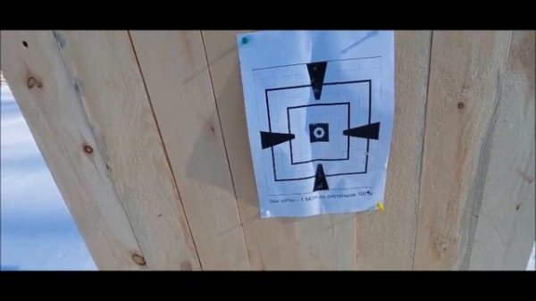 Winchester Wild Cat, обзор и пристрелка