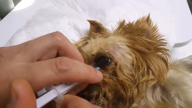 Ретробульбарная инъекция смотреть онлайн