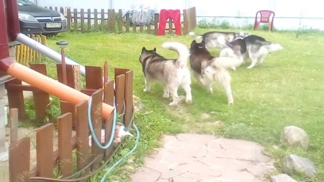 а в это время смотреть онлайн