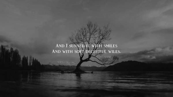 A Poison Tree by William Blake — Poetry Reading