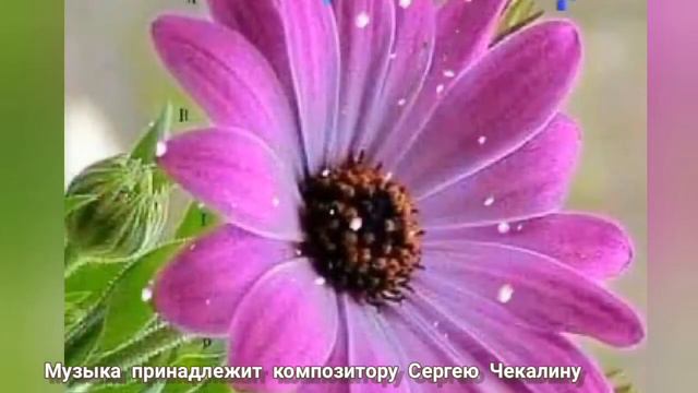 Восхитительная,лечебная музыка.Восстановит Ауру. смотреть онлайн