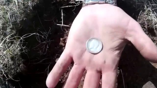 АКА СИГНУМ 7272 МФТ Бездорожье и серебро