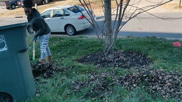 Winter Clean-up + Christmas Decor 🌲🎀 || Kreatyve Laydiiee смотреть онлайн