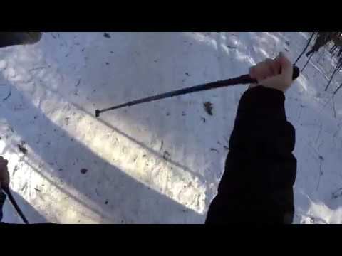 Скандинавская Ходьба в Лесу Польза смотреть онлайн