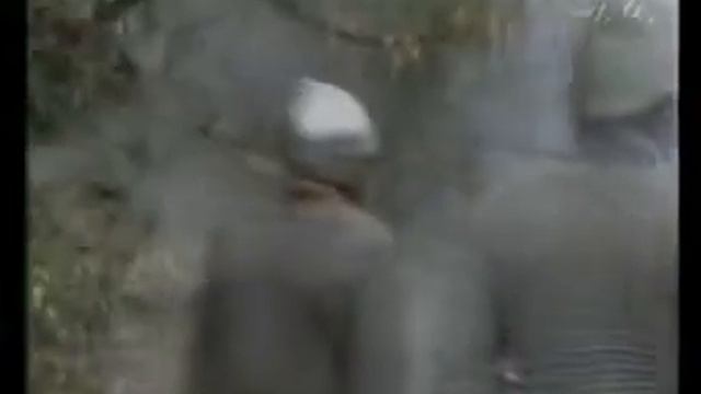 Тайные силы зла. Тамплиеры и масонство смотреть онлайн