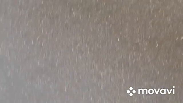 Помещение свободного назначения, первомайская, аренда, 89200190064 смотреть онлайн