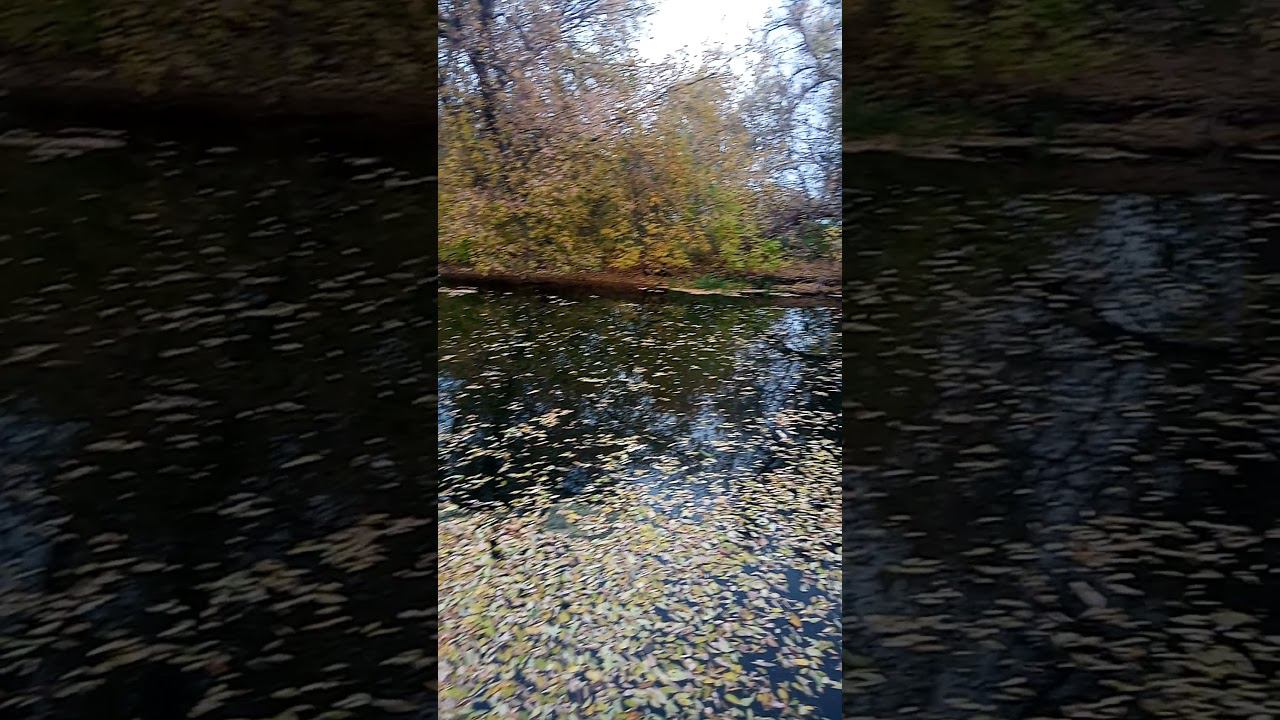 релакс смотреть онлайн