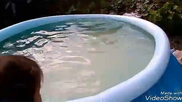 Юля с Дианой показывают цветочки которые растут возле дома )😄 смотреть онлайн