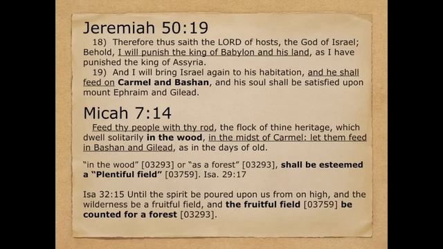 What does it mean to "feed on Carmel and Bashan"? смотреть онлайн