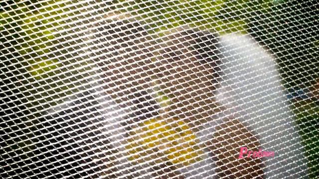 Самая влюбленная пара 2012 года смотреть онлайн