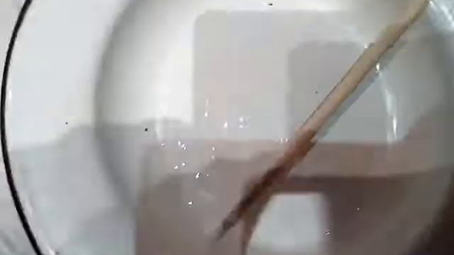 Как сделать лизуна без натрия тетрабората, без персила! Всего из двух ингредиентов