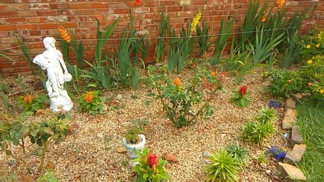 Gladiolas and 4 o'clocks смотреть онлайн