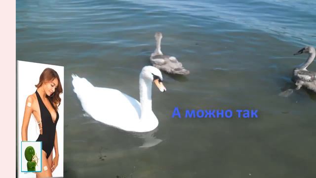 Это лето не забыть. Вы же не забыли сделать видео ?