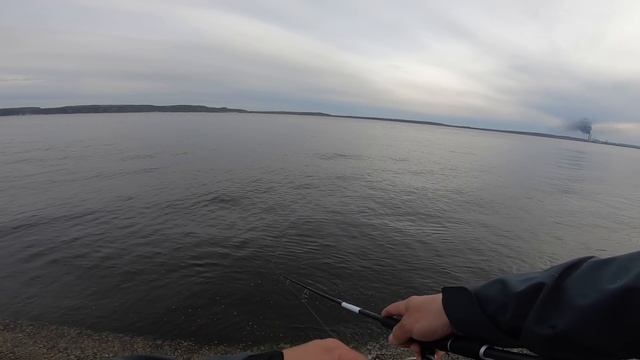 ЛОВЛЯ ЖЕРЕХА! ПОТРАПИЛИ НА ГАРНИЙ КЛЬОВ ЖЕРЕХА! ЖЕРЕХ ВЕСНОЮ НА КАСТМАСТЕР. СУДАК НА КАСТМАСТЕР. смотреть онлайн