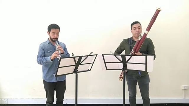 Beethoven duo No 1 C major. Andante y allegro. Jonathan Saldarriaga Fagot. Cristian Cárdenas Oboe. смотреть онлайн