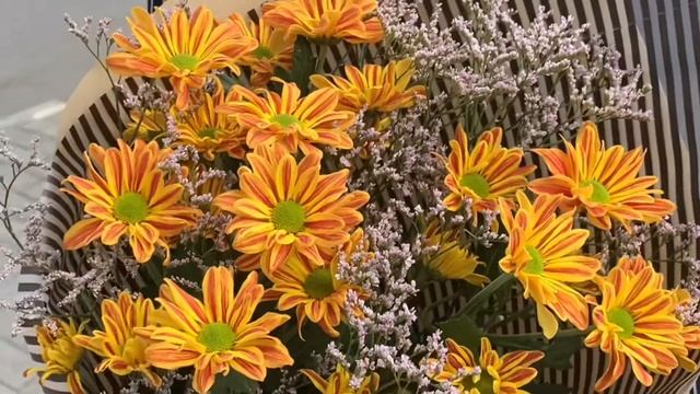 Букет хризантем смотреть онлайн