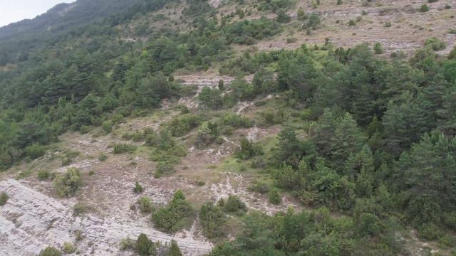 primer da vinci drone смотреть онлайн