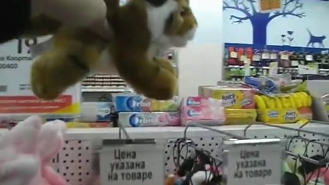 GAMS INK / GAMS LIVE / ДЕТСКИЙ МИР / КАКИЕ МЯГКИЕ ИГРУШКИ ВАМ НРАВЯТСЯ? смотреть онлайн