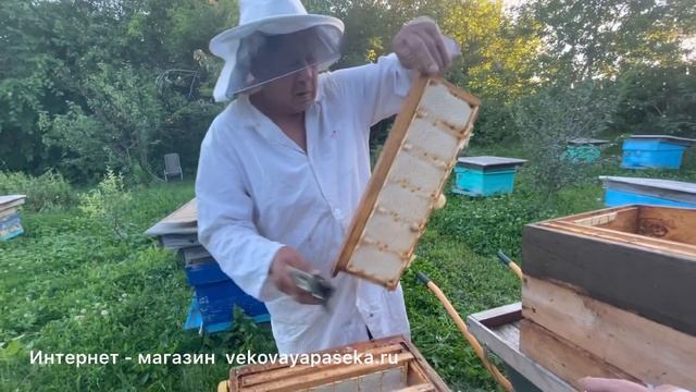 Сотовый мед/мед в сотах в маленьких порцеоных рамках смотреть онлайн