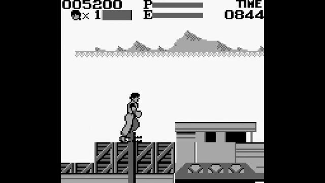 Kung Fu Master Game Boy Playthrough