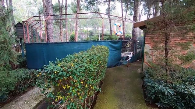 #3. Пришлось покинуть страну... смотреть онлайн