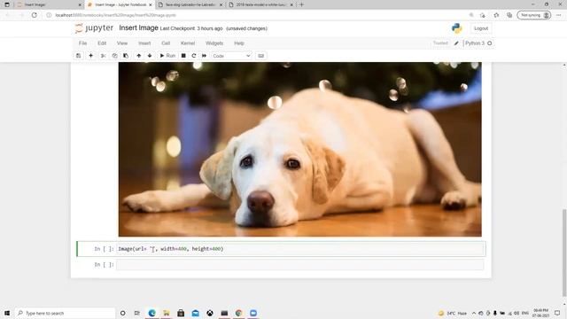 How to insert image in jupyter notebook смотреть онлайн