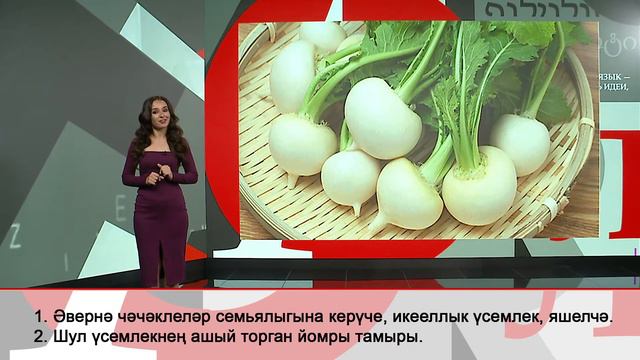 Полиглот - Шалкан смотреть онлайн