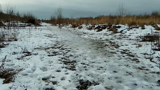 Груша 4 смотреть онлайн
