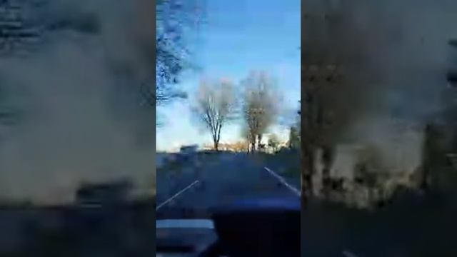 rose clair est en direct ! смотреть онлайн