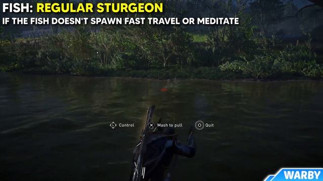 Assassin's Creed Valhalla - Sturgeon Fish Locations (Big - Regular - Small) смотреть онлайн