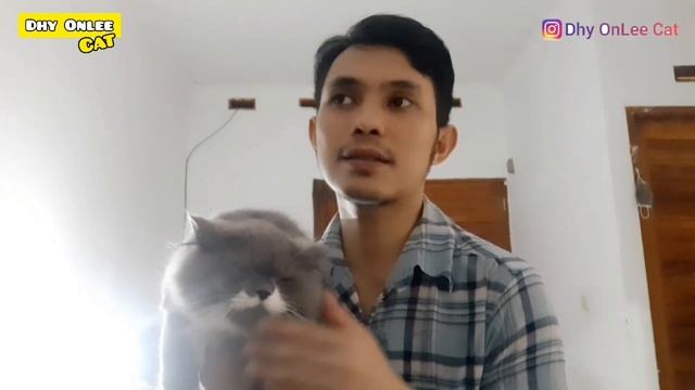MAKANAN KUCING BAGUS UNTUK KUCING SAKIT - ROYAL CANIN RECOVERY / Review Makanan Kucing
