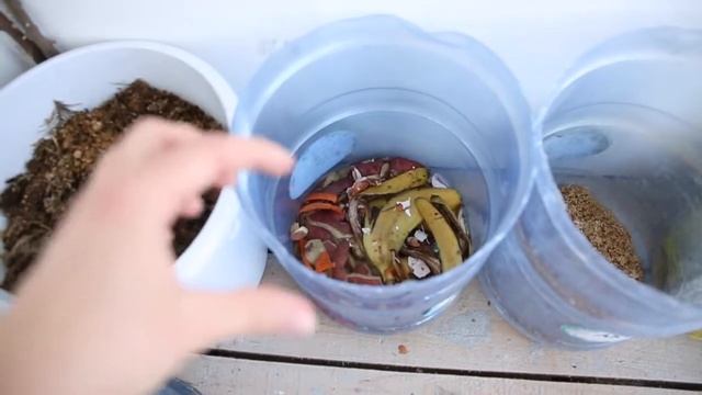 КОМПОСТ на балконе из сподручной органики, Сахалин. смотреть онлайн