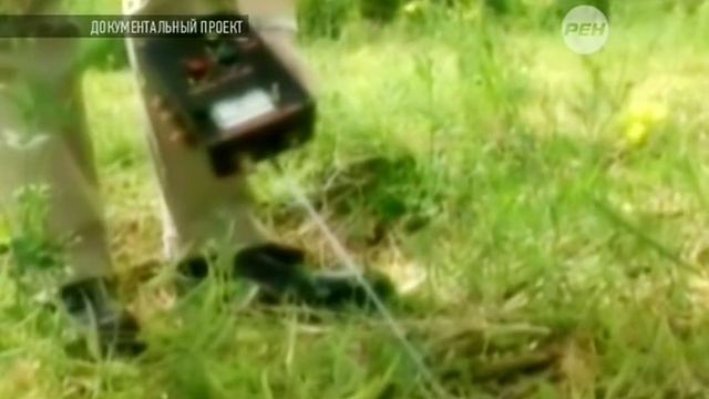 Письма из космоса. Документальный проект. .mp4 смотреть онлайн