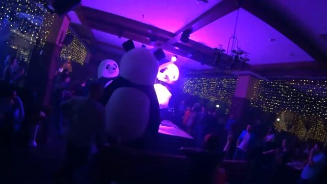 Забавные панды пляшут ч1 смотреть онлайн