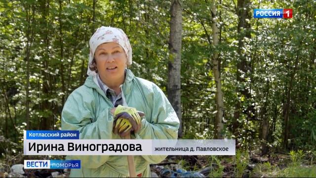 Жители деревни Павловское отправились очищать лес от свалки смотреть онлайн