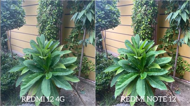 Redmi 12 4G vs Redmi Note 12 5G Camera Comparison смотреть онлайн