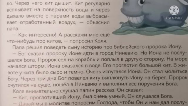 Зачем киту отверстие в голове?