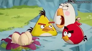 ANGRY BIRDS COFFIN DANCE MEME ASTRONOMIA (REUPLOAD)(FT OZYRYS)