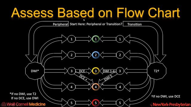 Prostate MRI смотреть онлайн