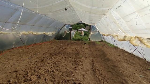 Почему нужно строить высокие теплицы? Температура в теплице в 12 дня. смотреть онлайн