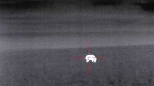 Добыча кобана с подхода. Охота с тепловизором.