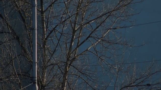 Nikon Coolpix L620 ukázkové video смотреть онлайн