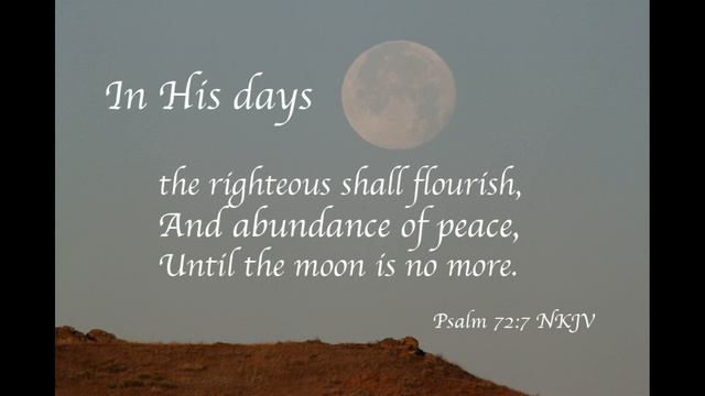 Read the bible in one year, Day 169 Psalms 69 70 71 72 смотреть онлайн