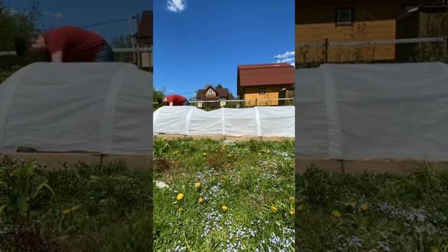Парник садовый для дачи / огорода / спанбонд / минитеплица 4 5 6 метров. Сделано в России смотреть онлайн