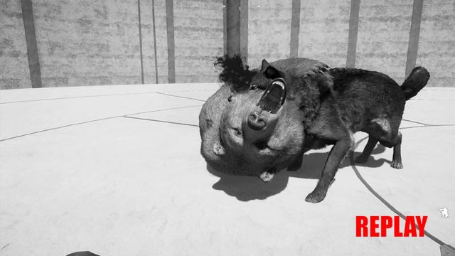 Far Cry 5 Arcade - Animal Fight: Wolf vs Bear Battles (Custom Map Editor) смотреть онлайн